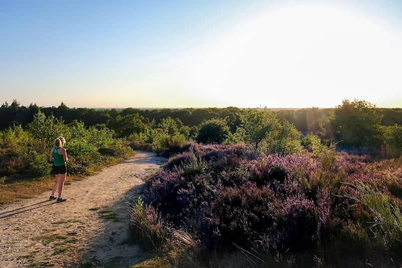 Mulderskop - Image 1