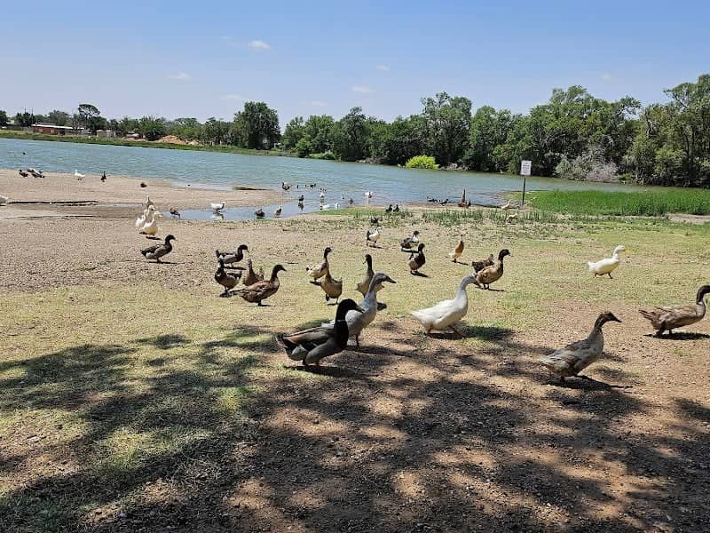 Ninth Street Park - Image 1