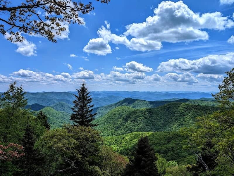 Roy Taylor Forest Overlook - Image 1