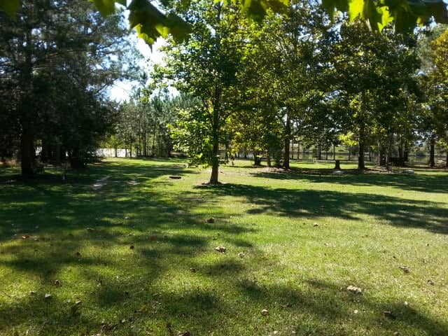lakeview campground - Image 2