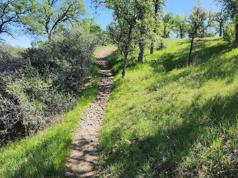 Perry Riffle Trailhead - Image 2