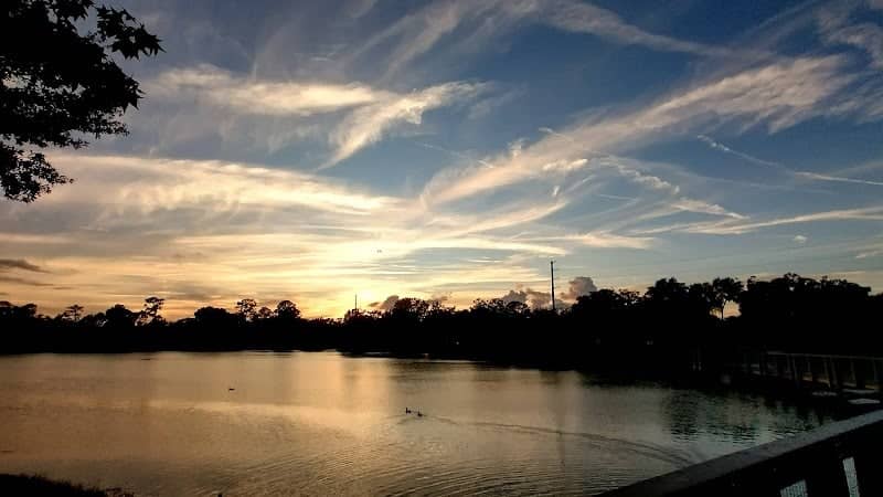 Memorial Park - Image 3