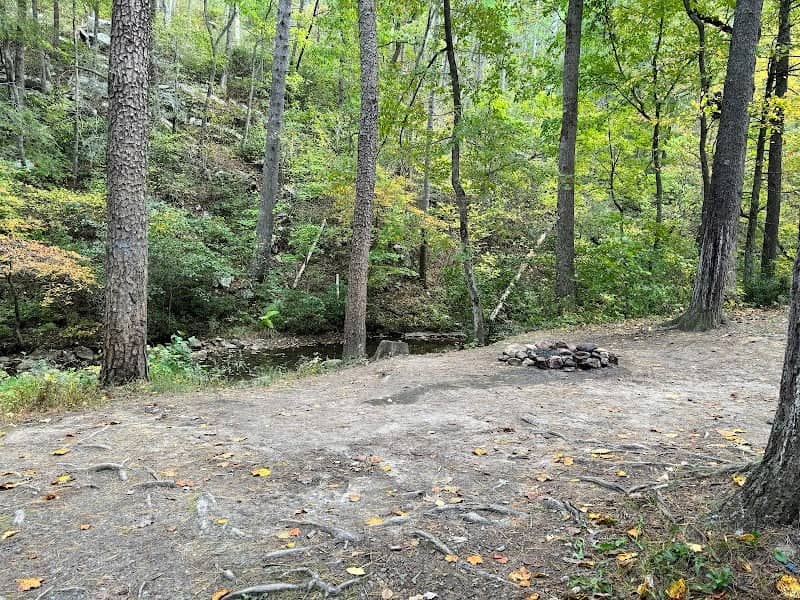 Raccoon Canyon - Image 2