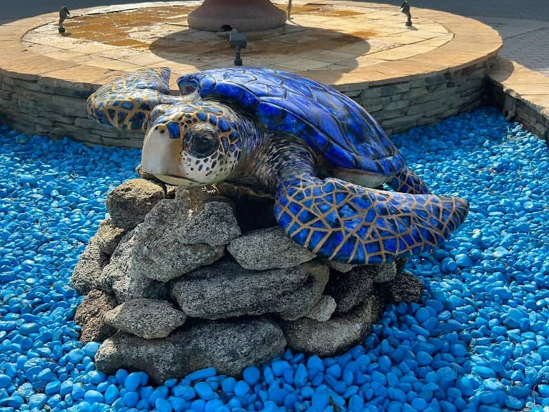 PCAF Turtle Trail: #3 Marc-Sea - Image 2