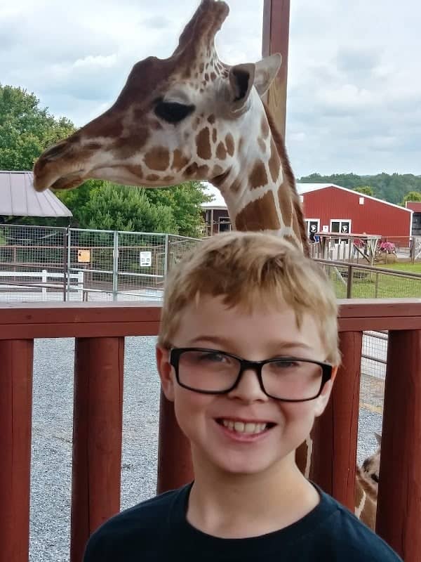 Brights Zoo - Image 1