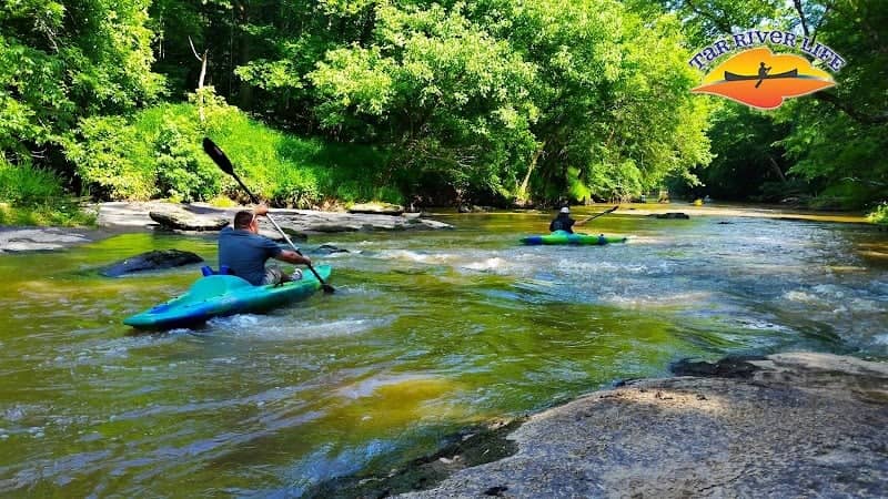 Tar River Life - Image 1