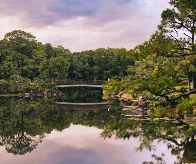 Morikami Museum and Japanese Gardens - Image 1