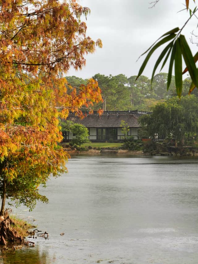 Morikami Museum and Japanese Gardens - Image 1