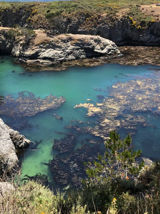 Pelican Cove Park - Image 1