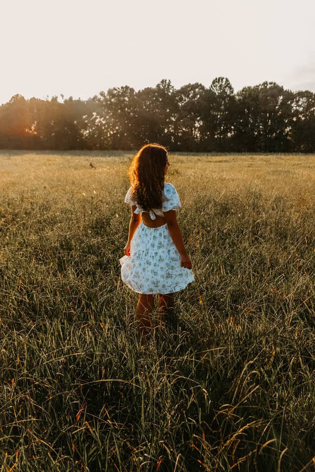 Cleburne County Sunlit Meadow - Image 1