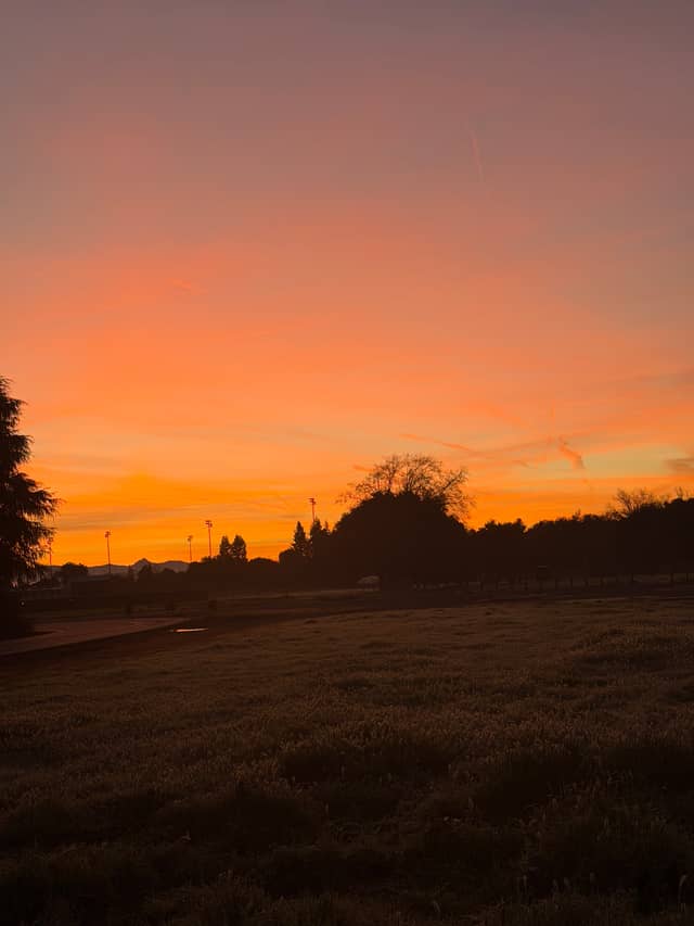 Uvas Parkway Field - Image 1