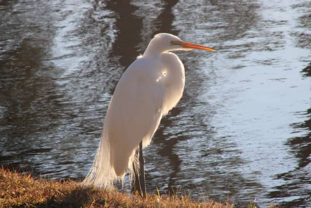 St. Augustine Waterway - Image 1