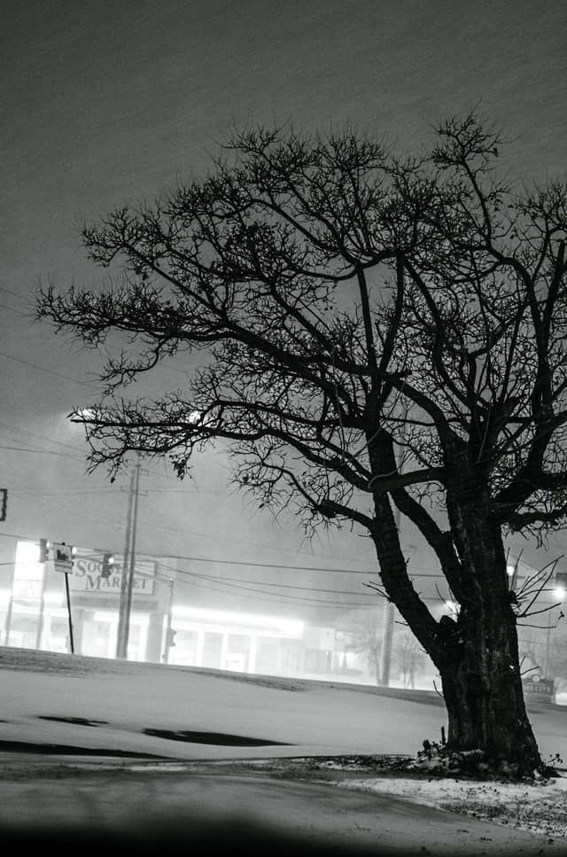Sooner Market Winter Streetscape - Image 1