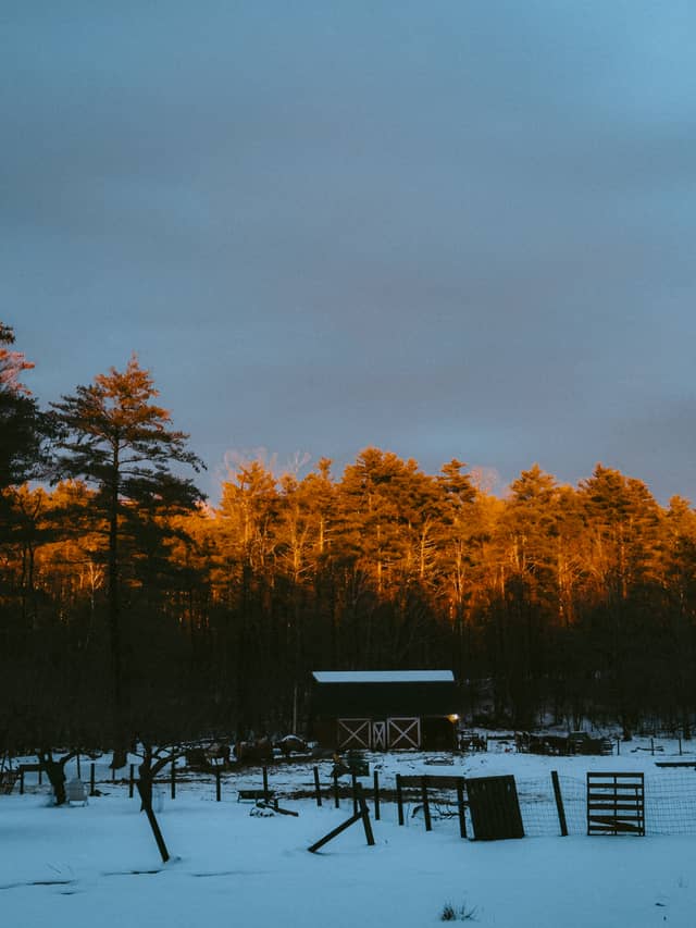 Rustic Winter Barn - Image 1