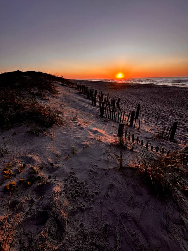 North Topsail Beach Sand Fences - Image 4