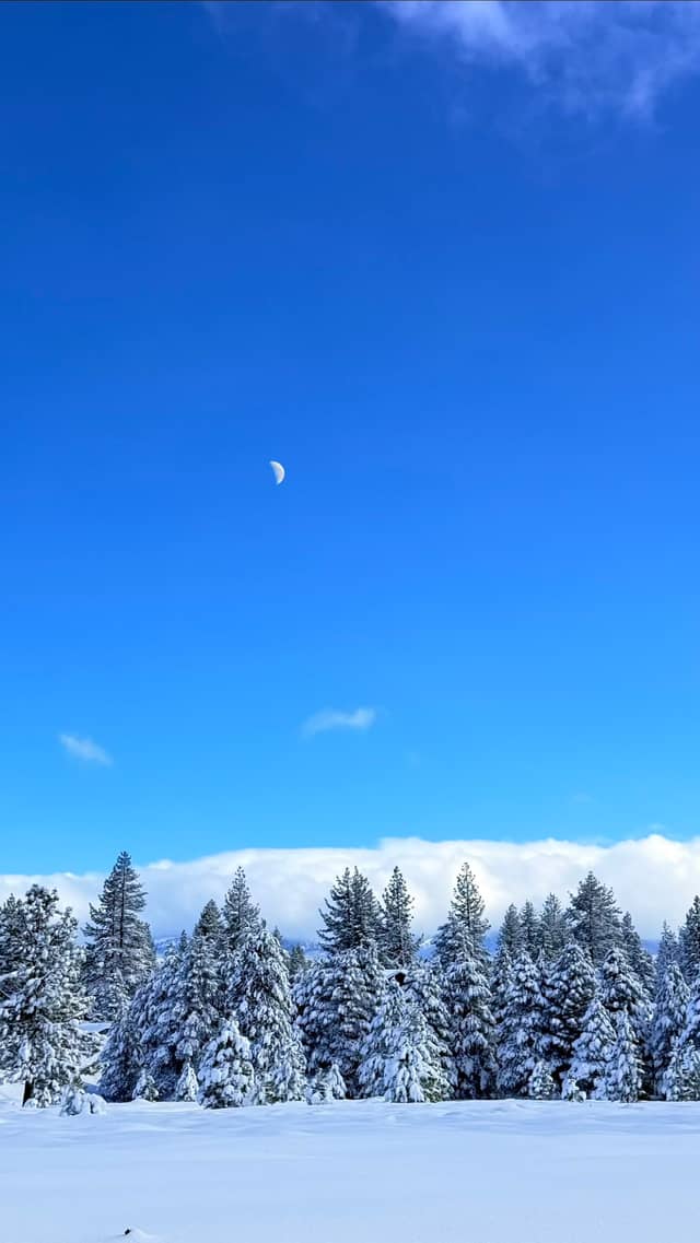 Truckee Winter Meadow - Image 2