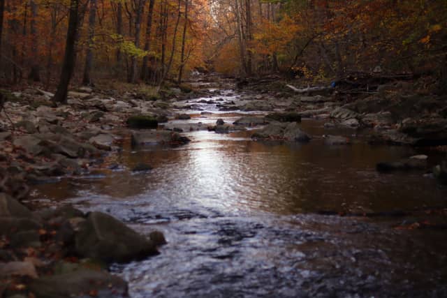 Bel Air Woodland Creek - Image 1