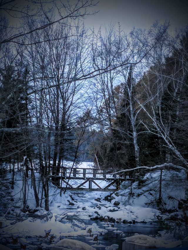 Clam Lake Forest Stream Bridge - Image 1
