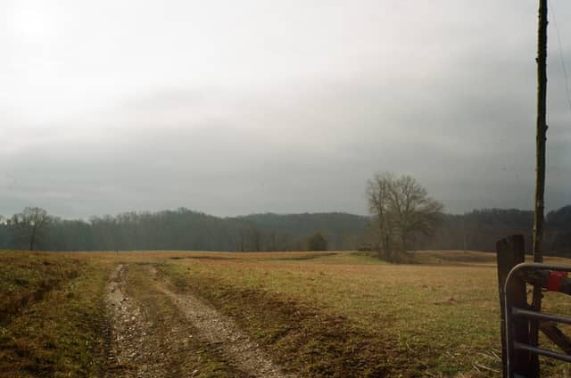 Vienna Road Farm Track - Image 1