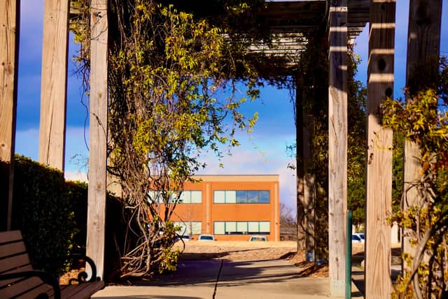 Broad Street Pergola Walkway - Image 1