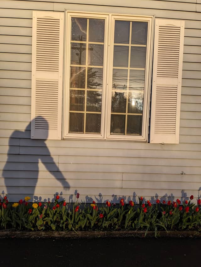 New Paltz Garden Window - Image 1