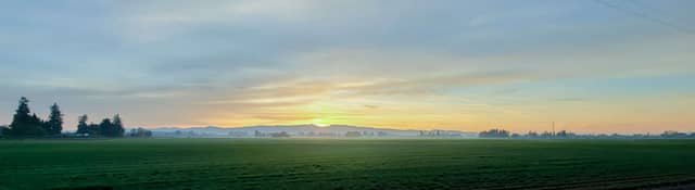 Willamette Valley Farmland Panorama - Image 1