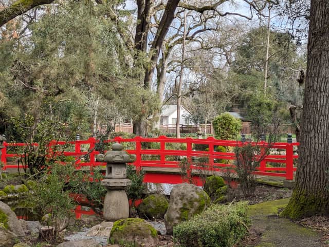 Micke Grove Japanese Garden - Image 1