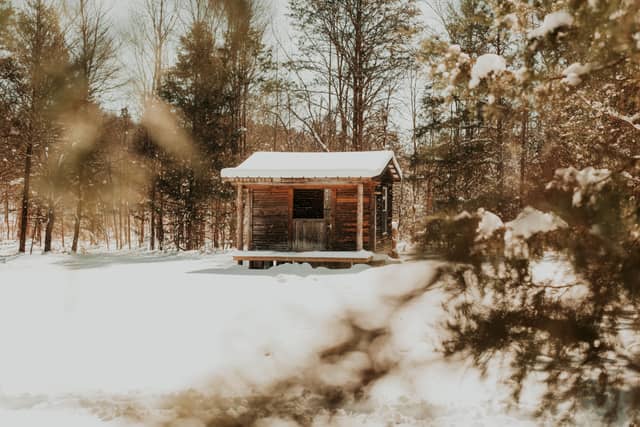 Rustic Woodland Cabin, Salisbury - Image 1