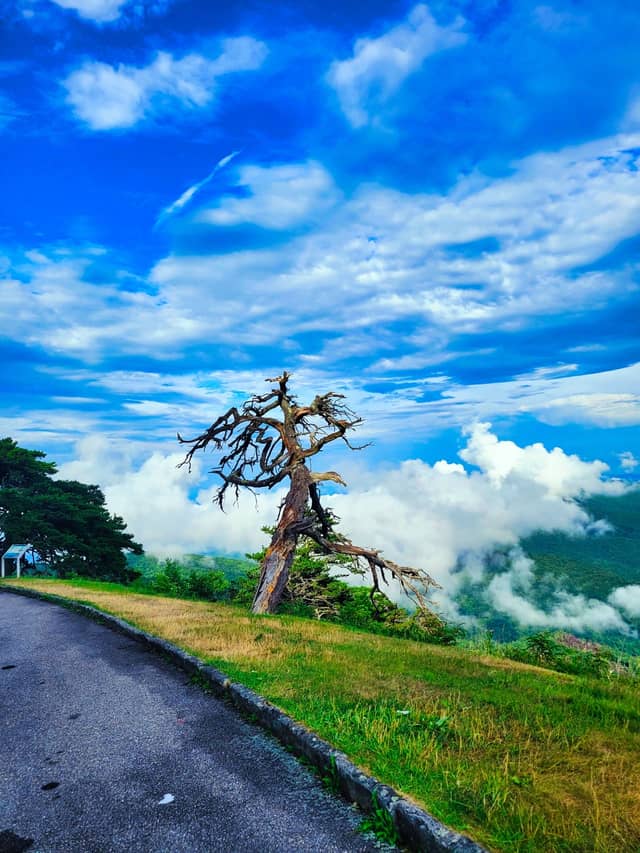 Blue Ridge Parkway Overlook - Image 1