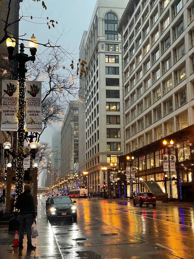 State Street, Chicago Loop - Image 1