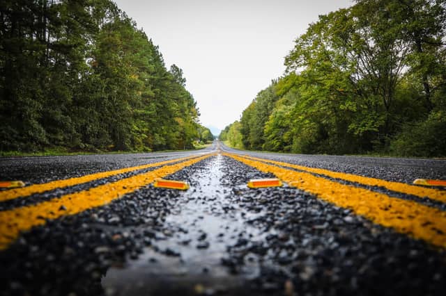 Caddo Forest Road - Image 1