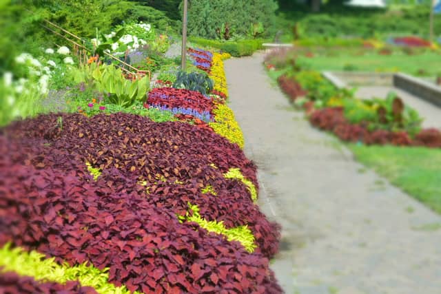 Sunken Gardens - Image 1