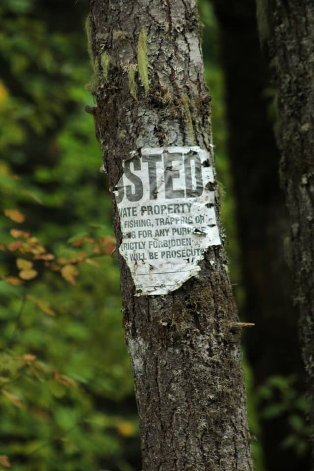 Tillamook State Forest - Image 1