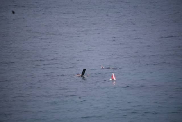 Dania Beach Coastal Waters - Image 1