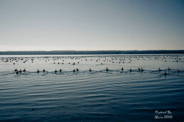 Seneca Lake State Park - Image 1