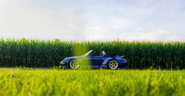 Hiawassee Cornfield Roadside - Image 1