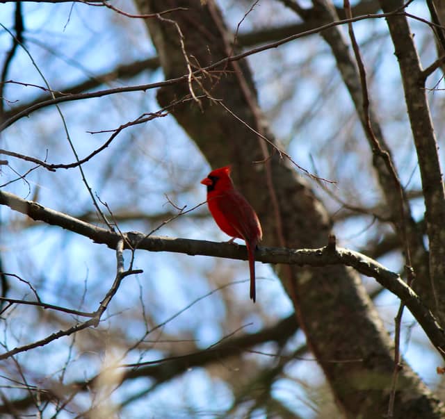 Bee Creek Park - Image 1