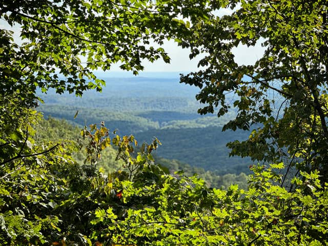 Amicalola Falls State Park Overlook - Image 2