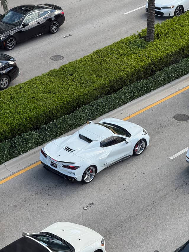 Collins Avenue Overlook - Image 1