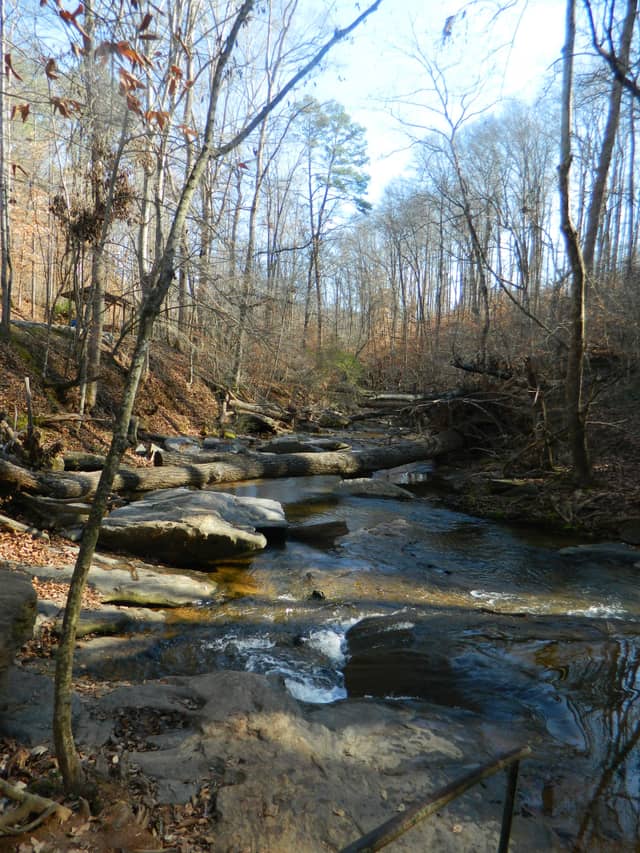Woodland Creek Trail - Image 1