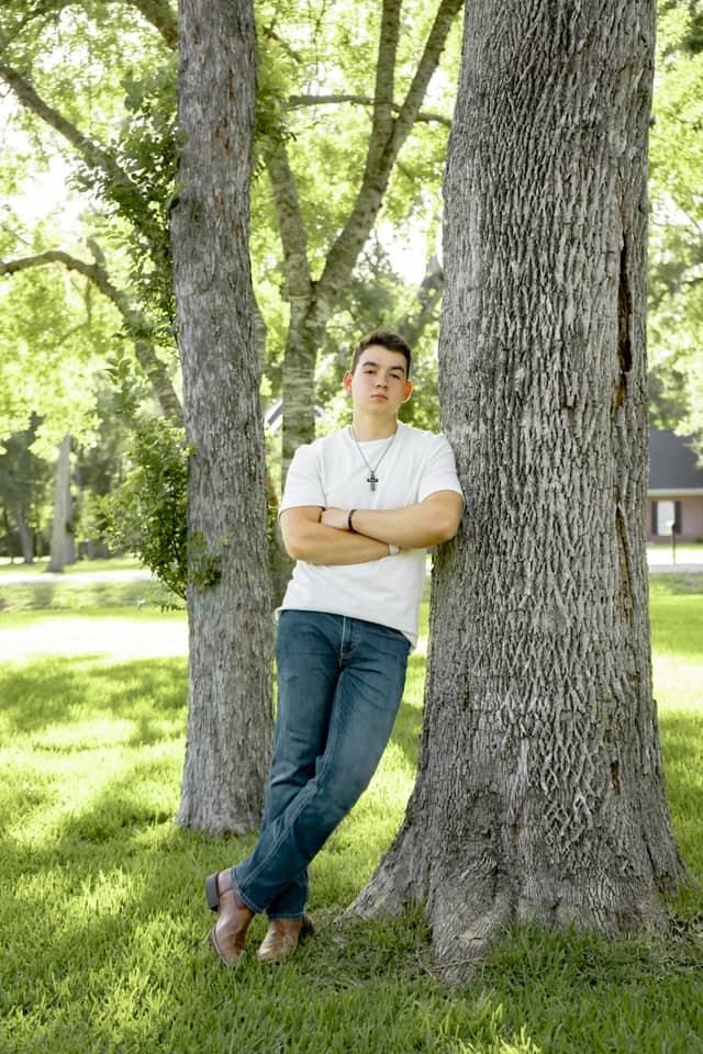 River Forest Tree Grove - Image 1