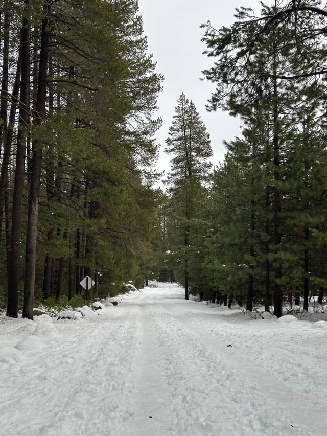 Tahoe National Forest Winter Trail - Image 1