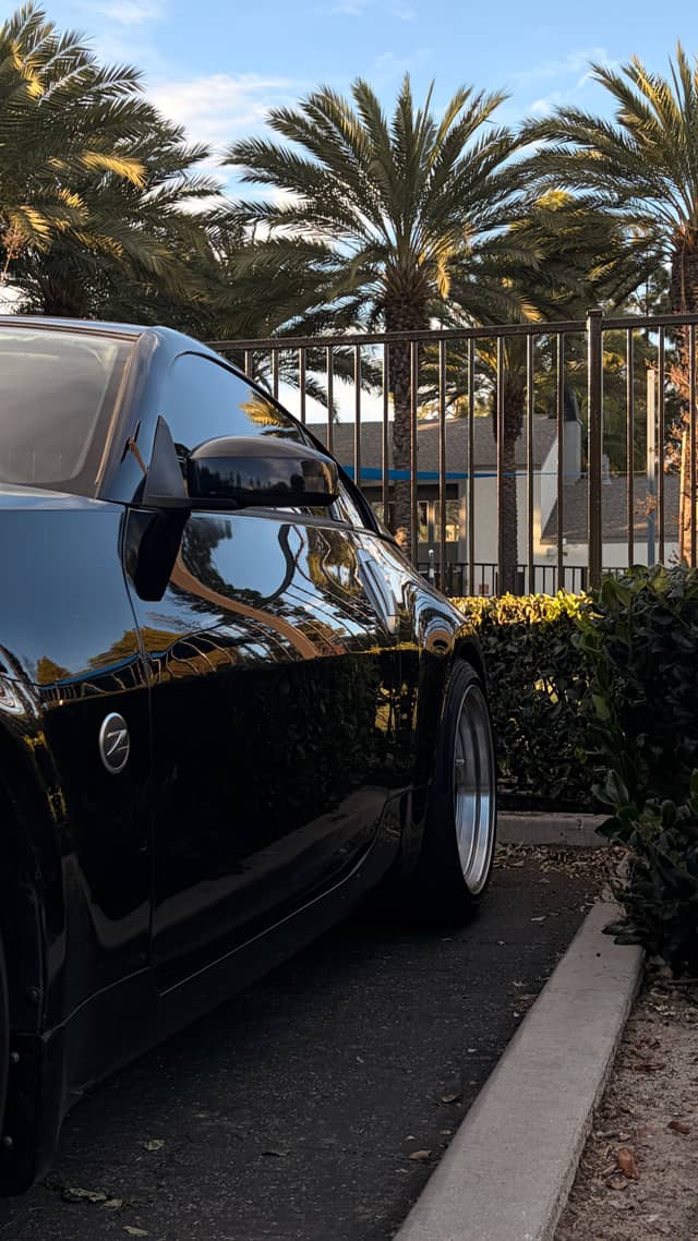 Costa Mesa Palm Parking Area - Image 1