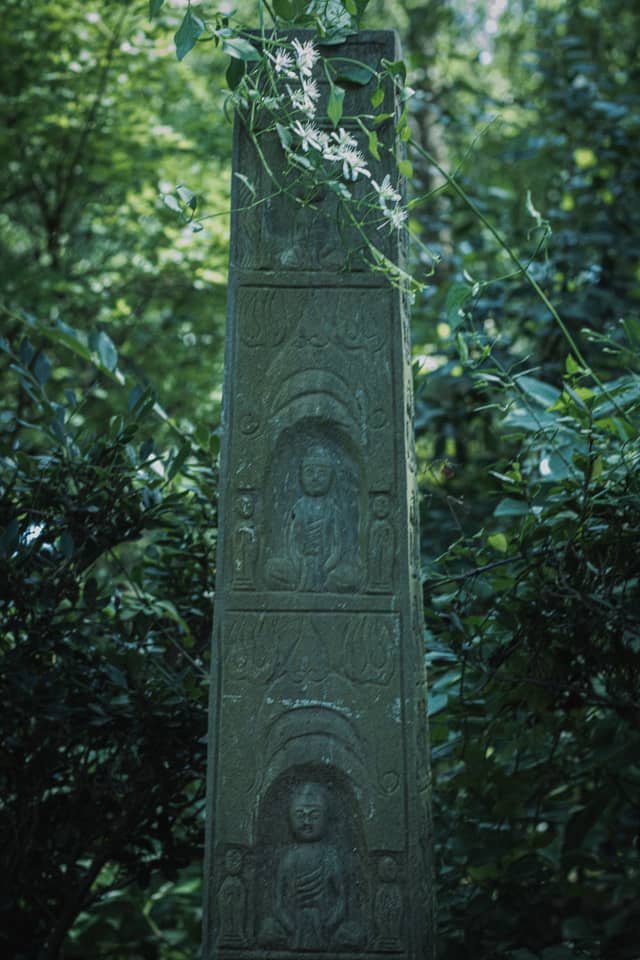 Paul J. Ciener Botanical Garden - Image 1