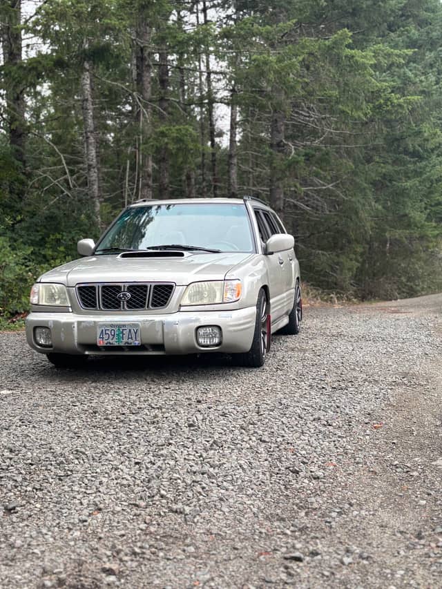 Territorial Highway Forest Road - Image 1