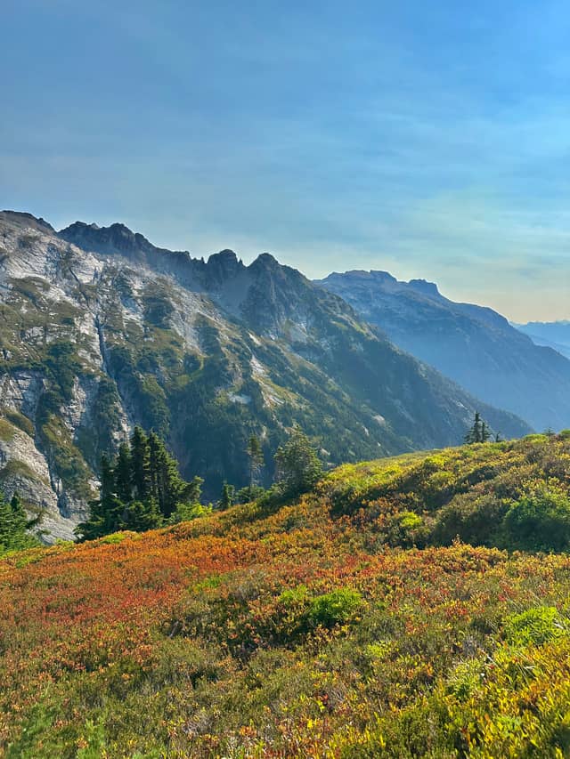 Cascade Mountains Alpine Meadow - Image 1