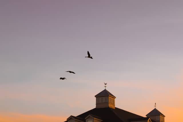 Mandeville Lakefront - Image 1