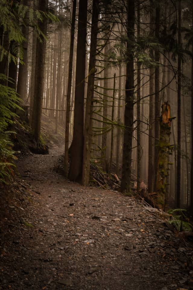 Heather Lake Trail - Image 1