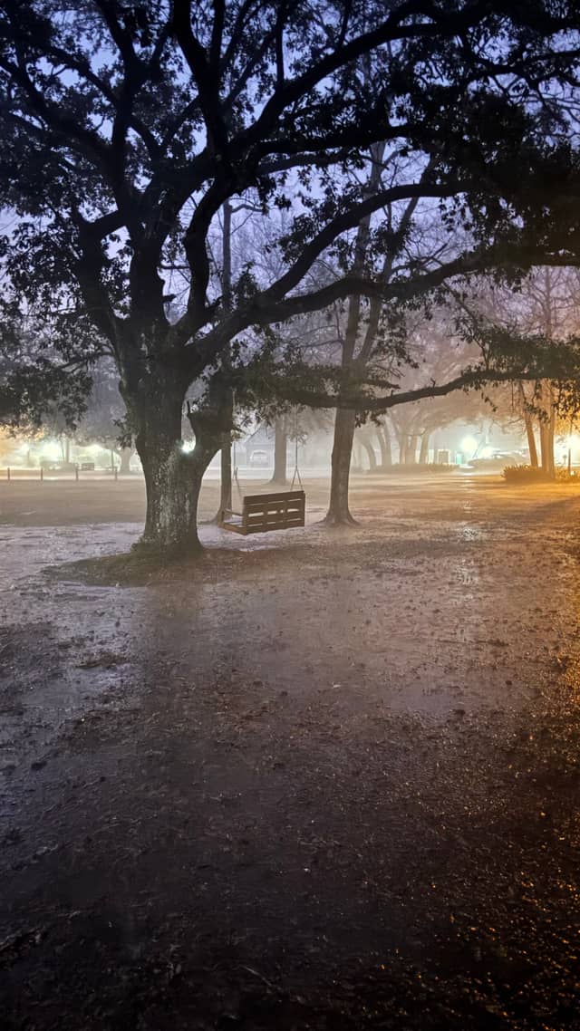 Ponchatoula Oak Swing - Image 1