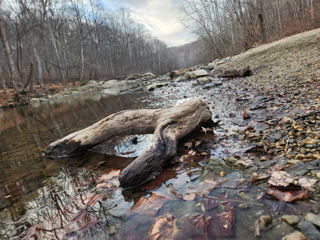 Patapsco Riverbank - Image 1